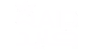 Qaid