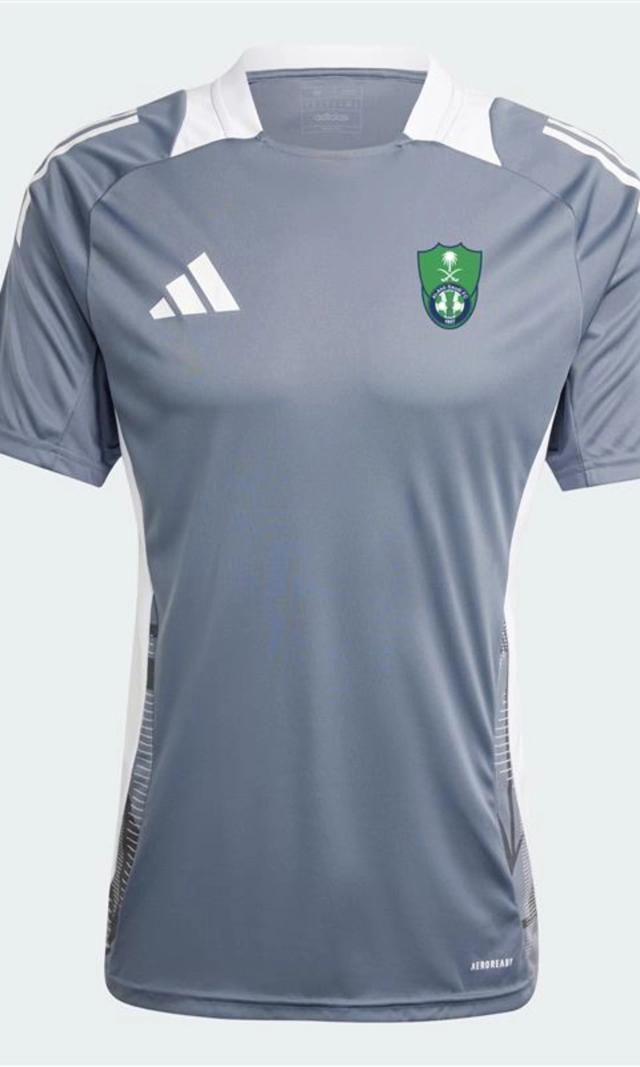 2024/25 Competition Training Jersey (Grey)